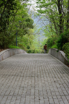 山道 景区