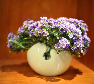 花卉装饰