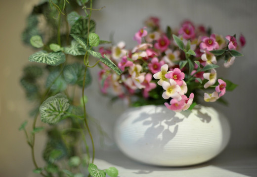 花卉装饰