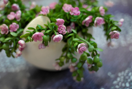 花卉装饰