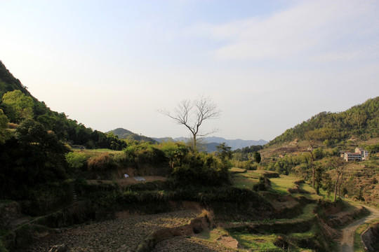 山区风景