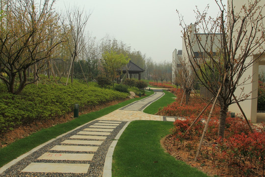 园林 中式 日式 石甬路