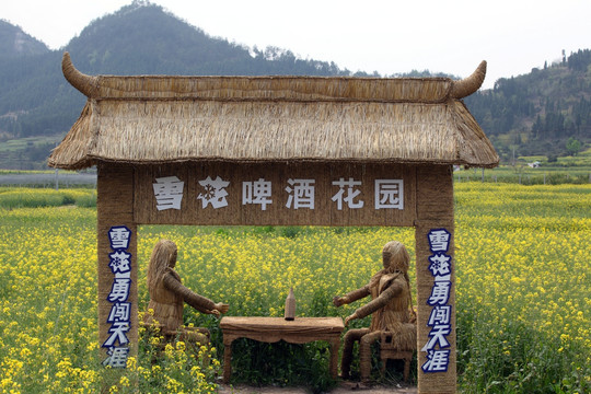 仙居双庙花海