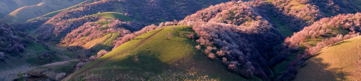 伊犁杏花沟
