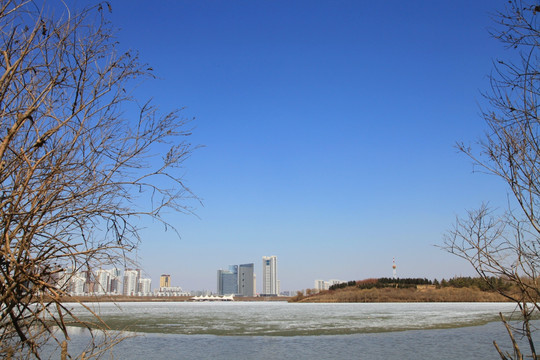 哈尔滨松北风景