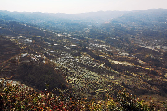 梯田风光