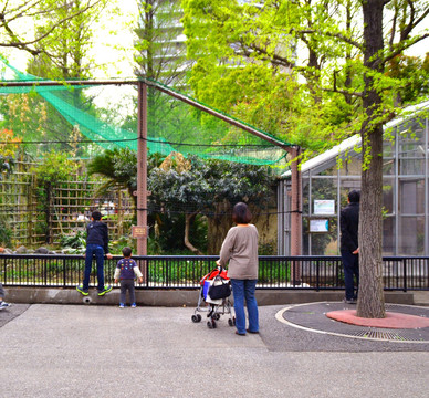 动物园 游客
