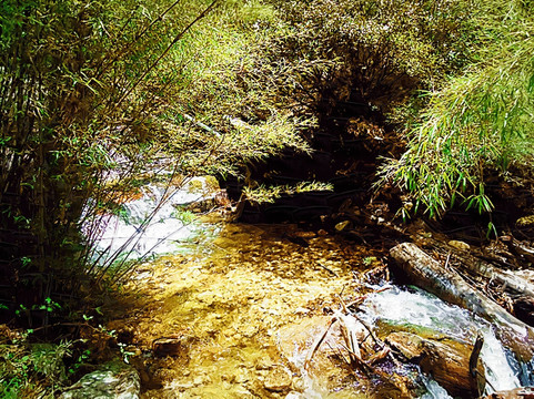 雅鲁藏布江大峡谷