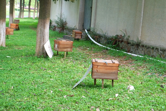 草地蜜蜂箱