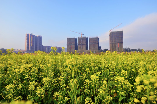 城市建设