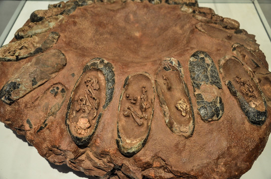 含胚胎的恐龙蛋窝化石