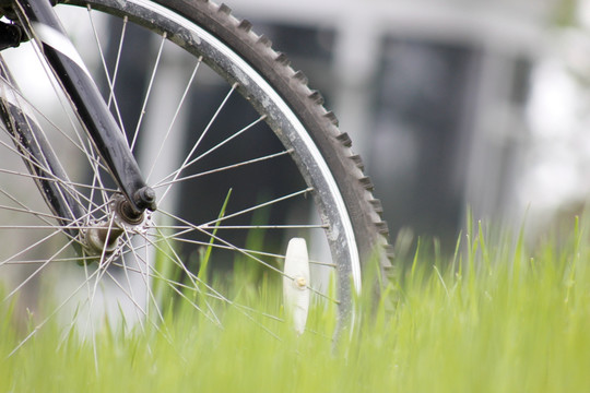草坪上的自行车轮胎