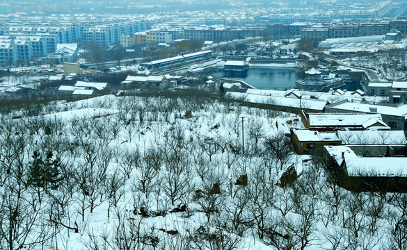 雪中的城镇