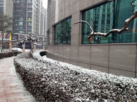 北京 城市 雪景 街道 社区