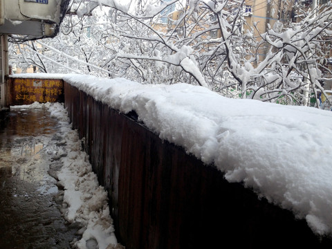 南京 城市雪景