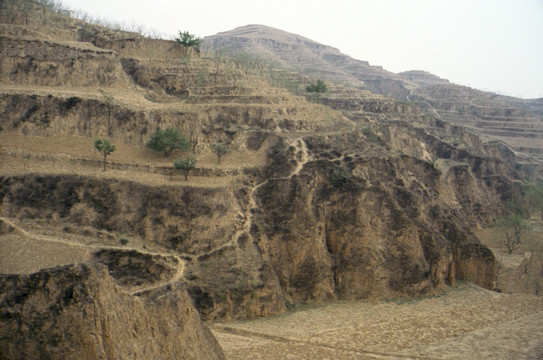 黄土高原