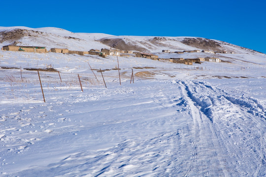 高原 雪