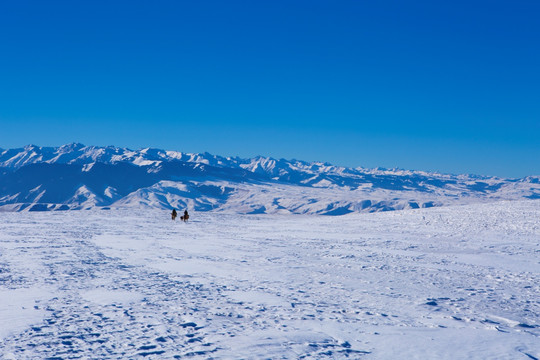 雪地 雪山