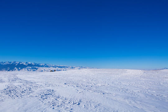 雪原