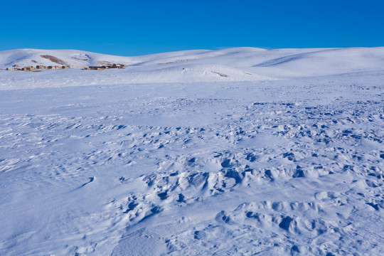 雪原 高原