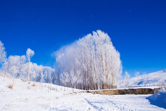 雾凇 蓝天 雪景