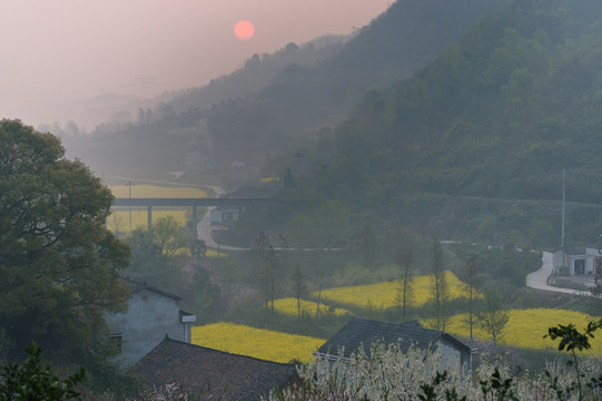 田野