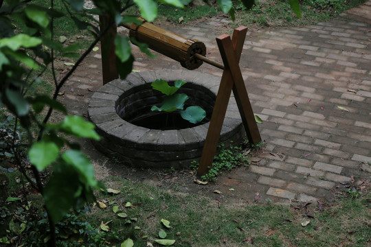 小口老井