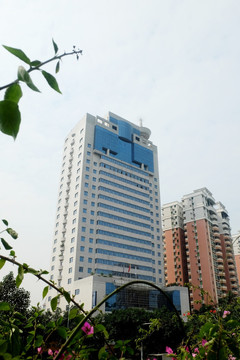 南方电网东莞城区营业厅大楼