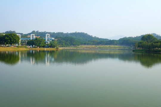 东莞植物园 山湖风景
