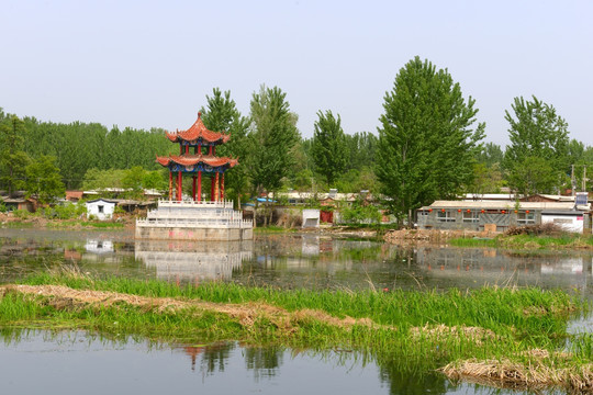 北京长沟湿地景色