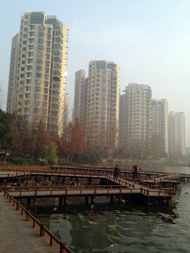 南京 莫愁湖 户外 城市公园