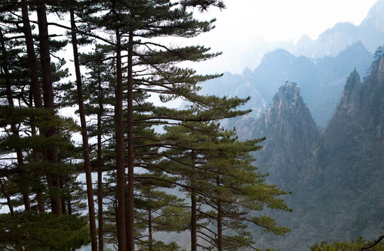 黄山风光