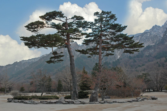 韩国月岳山国立公园