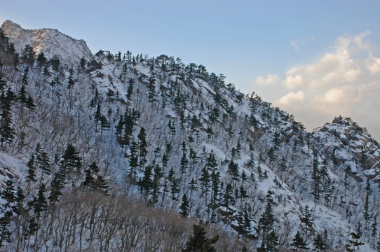 韩国月岳山国立公园雪山