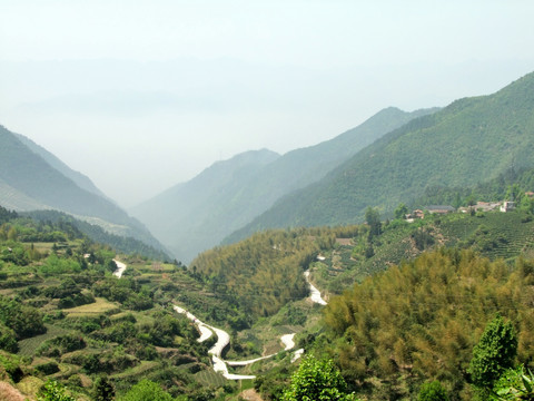 田野 松古田园 山沟 梯田