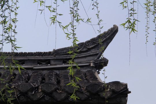 柳叶 屋檐