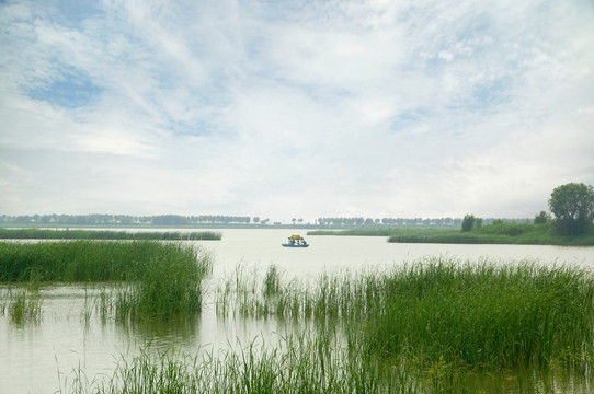 野鸭湖湿地