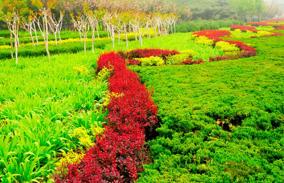 春天多彩的花园绿地