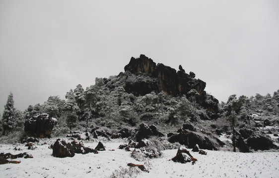 雪景