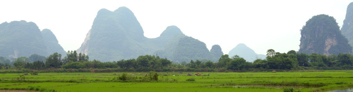 山峰水田