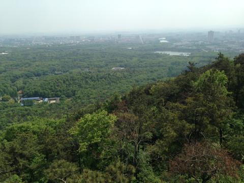 紫金山 头陀岭 钟山风景区