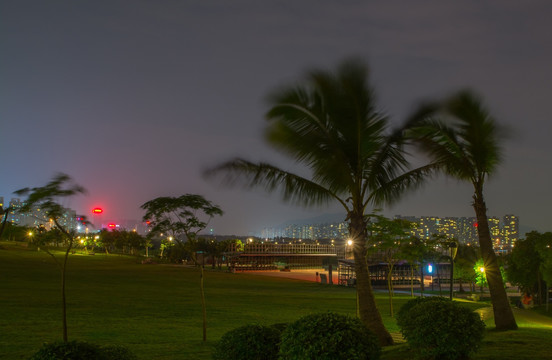 深圳湾红树林夜景