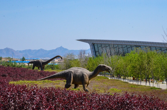 古生物化石博物馆