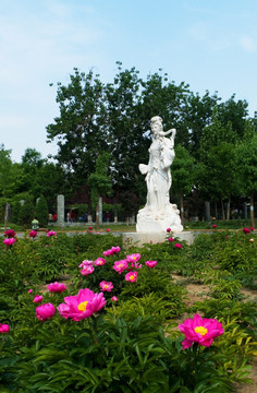 雕塑 芍药仙子