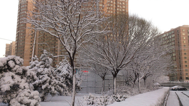 雪景