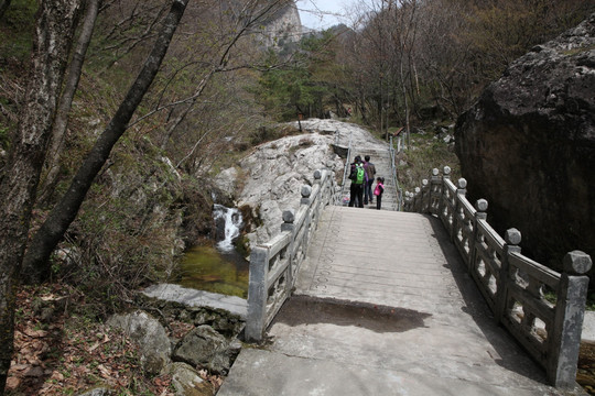 森林公园