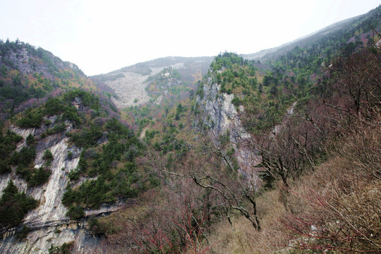 朱雀森林公园