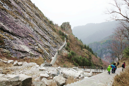 森林公园