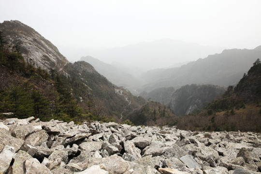 森林公园