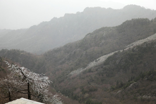 森林公园